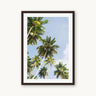Reaching - fine art adventure photography print from Ben Gamlin - available at Middles Creative