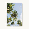 Reaching - fine art adventure photography print from Ben Gamlin - available at Middles Creative