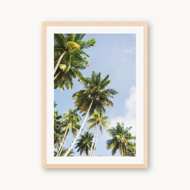 Reaching - fine art adventure photography print from Ben Gamlin - available at Middles Creative