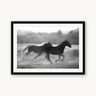 Thunder Hooves - fine art adventure photography print from Brooklyn Phillips - available at Middles Creative