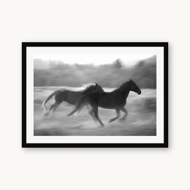 Thunder Hooves - fine art adventure photography print from Brooklyn Phillips - available at Middles Creative