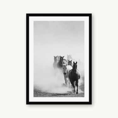 Wrangling the Herd - fine art adventure photography print from Brooklyn Phillips - available at Middles Creative