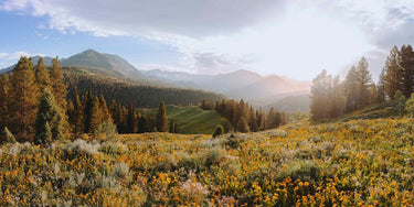 Close to Heaven - Fine Art Paper adventure photography print from Bree Banning - available at Middles Creative