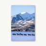 Elk Crossing - fine art adventure photography print from Sam Ferguson - available at Middles Creative