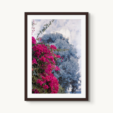 Flowers In Venice - fine art adventure photography print from Devon Cardamone - available at Middles Creative