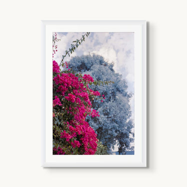 Flowers In Venice - fine art adventure photography print from Devon Cardamone - available at Middles Creative