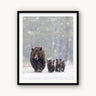 Footsteps in the Flurry - fine art adventure photography print from Tom Ingram - available at Middles Creative
