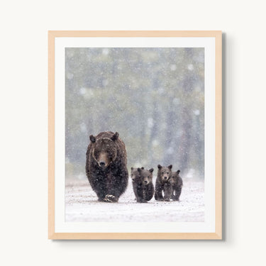 Footsteps in the Flurry - fine art adventure photography print from Tom Ingram - available at Middles Creative