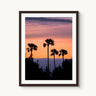 Four Palms - fine art adventure photography print from Alex Wood - available at Middles Creative
