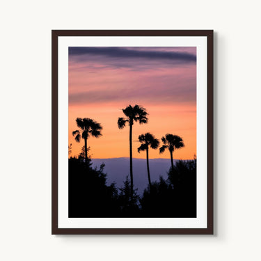 Four Palms - fine art adventure photography print from Alex Wood - available at Middles Creative