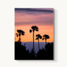 Four Palms - fine art adventure photography print from Alex Wood - available at Middles Creative