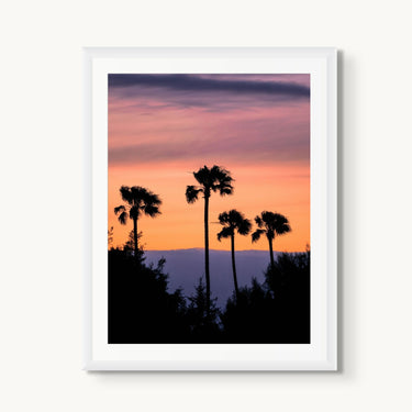 Four Palms - fine art adventure photography print from Alex Wood - available at Middles Creative