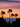 Four Palms - fine art adventure photography print from Alex Wood - available at Middles Creative