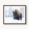 Frosted Guardian - fine art adventure photography print from Tom Ingram - available at Middles Creative