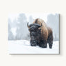 Frosted Guardian - fine art adventure photography print from Tom Ingram - available at Middles Creative