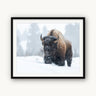 Frosted Guardian - fine art adventure photography print from Tom Ingram - available at Middles Creative