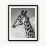 Head in the Clouds - fine art adventure photography print from Alex Wood - available at Middles Creative