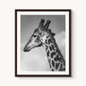 Head in the Clouds - fine art adventure photography print from Alex Wood - available at Middles Creative
