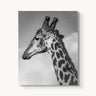 Head in the Clouds - fine art adventure photography print from Alex Wood - available at Middles Creative