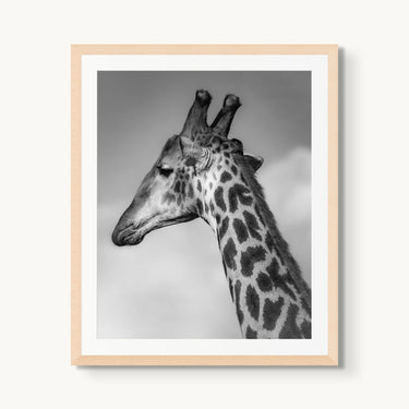 Head in the Clouds - fine art adventure photography print from Alex Wood - available at Middles Creative