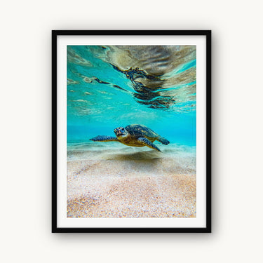 Hula Honu - fine art adventure photography print from Natalie Nishioka - available at Middles Creative