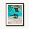 Hula Honu - fine art adventure photography print from Natalie Nishioka - available at Middles Creative