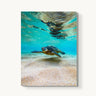 Hula Honu - fine art adventure photography print from Natalie Nishioka - available at Middles Creative