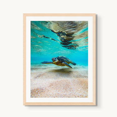 Hula Honu - fine art adventure photography print from Natalie Nishioka - available at Middles Creative