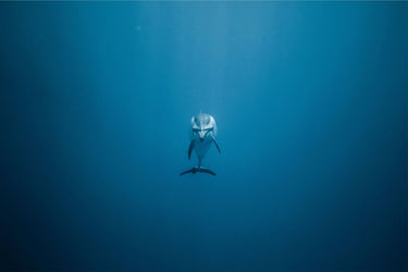 You're Not Alone - fine art adventure photography print from Jeremy Bishop - available at Middles Creative