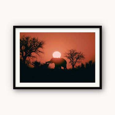 Kalahari Sunrise - fine art adventure photography print from Max Dickson - available at Middles Creative