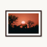 Kalahari Sunrise - fine art adventure photography print from Max Dickson - available at Middles Creative
