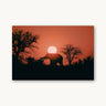 Kalahari Sunrise - fine art adventure photography print from Max Dickson - available at Middles Creative