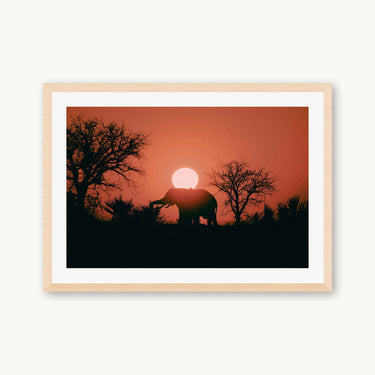 Kalahari Sunrise - fine art adventure photography print from Max Dickson - available at Middles Creative