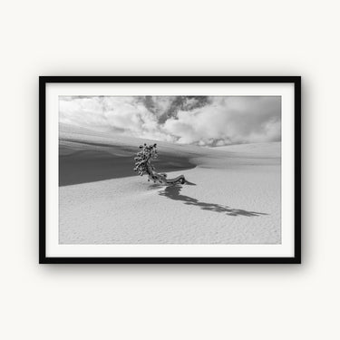 Lone Tree - fine art adventure photography print from Tom Ingram - available at Middles Creative