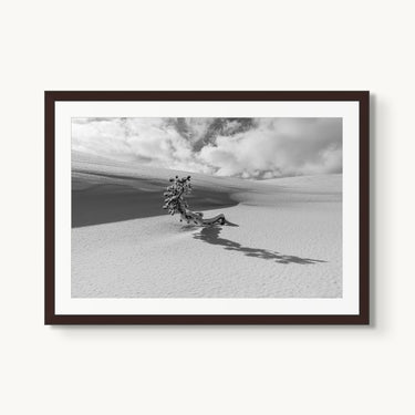 Lone Tree - fine art adventure photography print from Tom Ingram - available at Middles Creative
