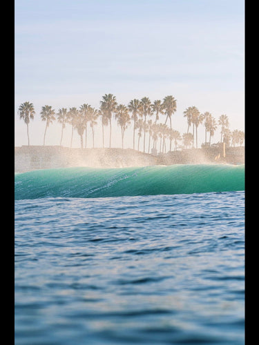 Hero - Palm Trees and Sea Spray