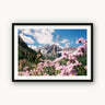 Among The Wildflowers - fine art photography print - available at Middles Creative