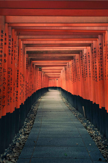 Aka No Michi - fine art adventure photography print from Max Dickson - available at Middles Creative