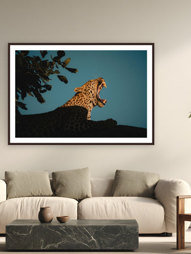 My Jungle by Max Dickson from Botswana, Africa - framed black frame fine art photography displayed in a modern living room setting