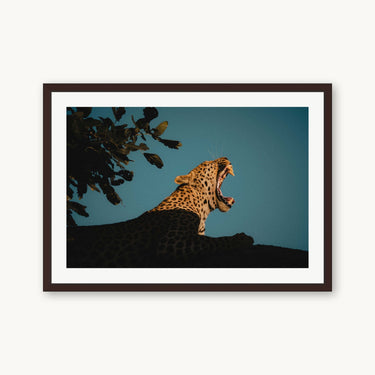 My Jungle - fine art adventure photography print from Max Dickson - available at Middles Creative