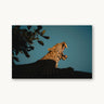 My Jungle - fine art adventure photography print from Max Dickson - available at Middles Creative