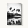 Nosara Palms - fine art adventure photography print from Devon Cardamone - available at Middles Creative
