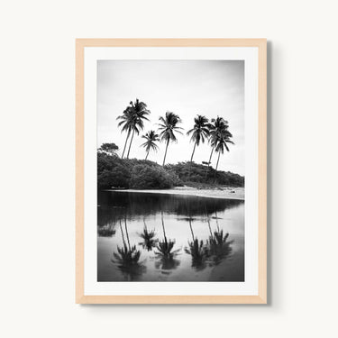 Nosara Palms - fine art adventure photography print from Devon Cardamone - available at Middles Creative