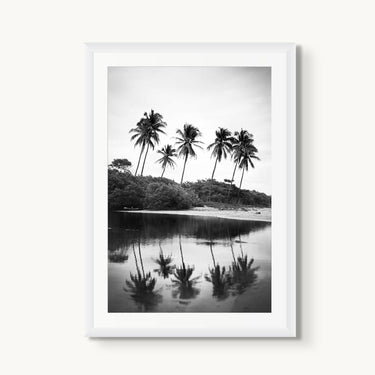 Nosara Palms - fine art adventure photography print from Devon Cardamone - available at Middles Creative