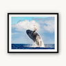 Ocean Acrobat - fine art adventure photography print from Tom Ingram - available at Middles Creative