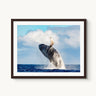 Ocean Acrobat - fine art adventure photography print from Tom Ingram - available at Middles Creative