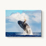 Ocean Acrobat - fine art adventure photography print from Tom Ingram - available at Middles Creative