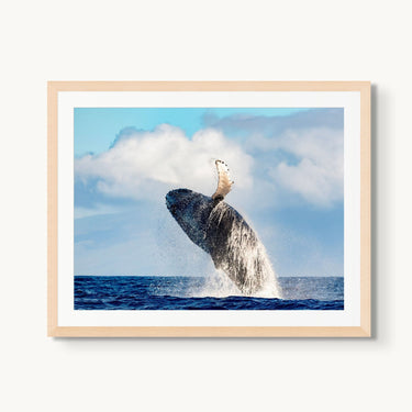 Ocean Acrobat - fine art adventure photography print from Tom Ingram - available at Middles Creative