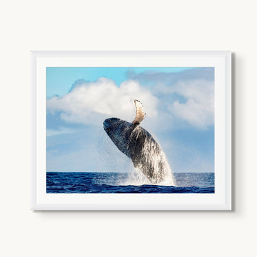 Ocean Acrobat - fine art adventure photography print from Tom Ingram - available at Middles Creative