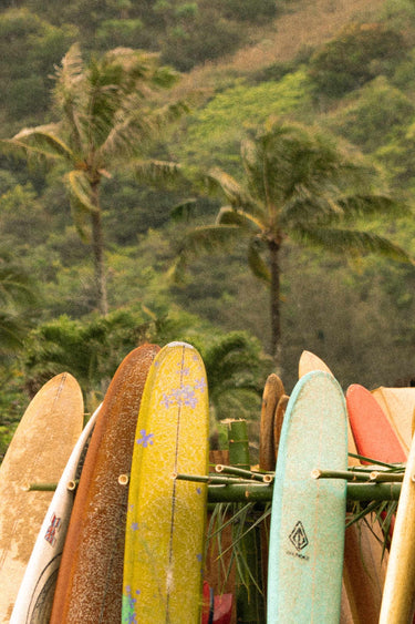 Island Longboards - fine art adventure photography print from Natalie Nishioka - available at Middles Creative